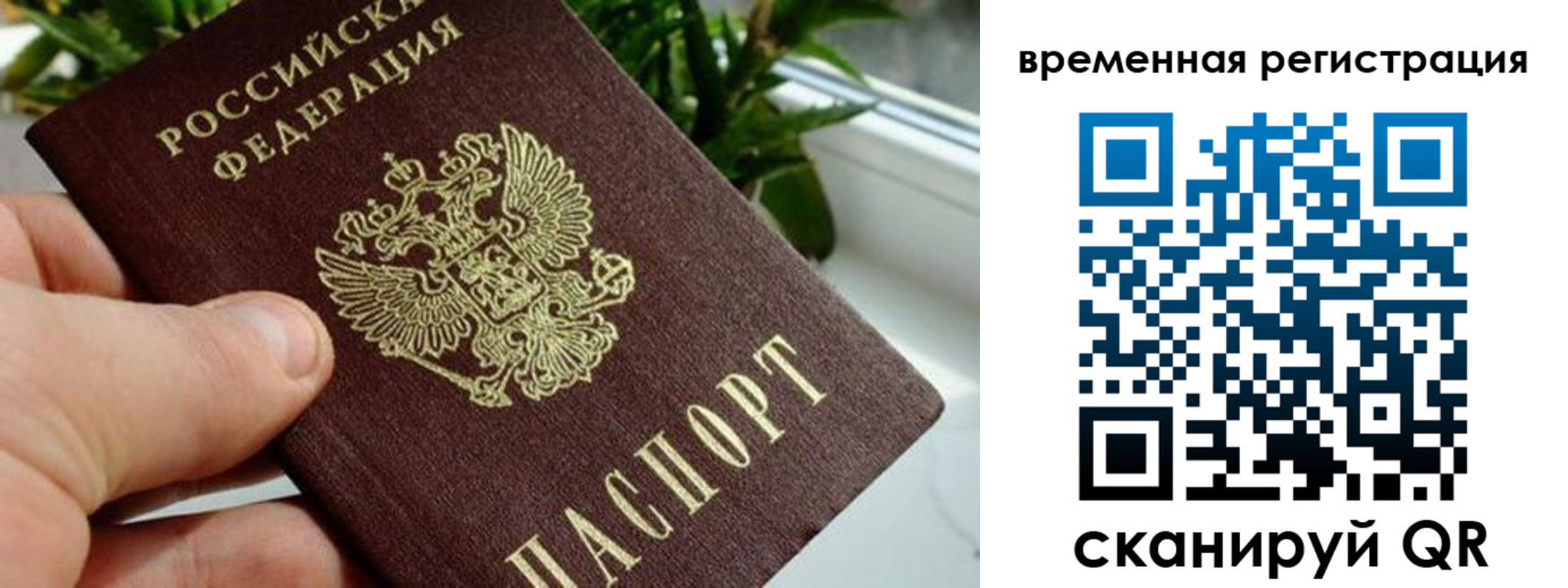 прописка поиск в Электростали
